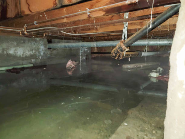 Best Water damage contractors near me  in Fairburn, GA