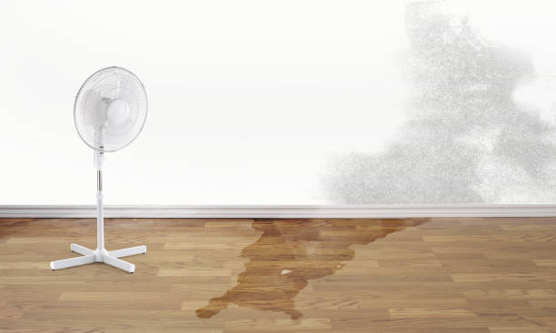 Best 24-hour water damage restoration  in Fairburn, GA