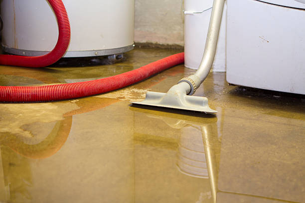 Best Water damage restoration specialists  in Fairburn, GA