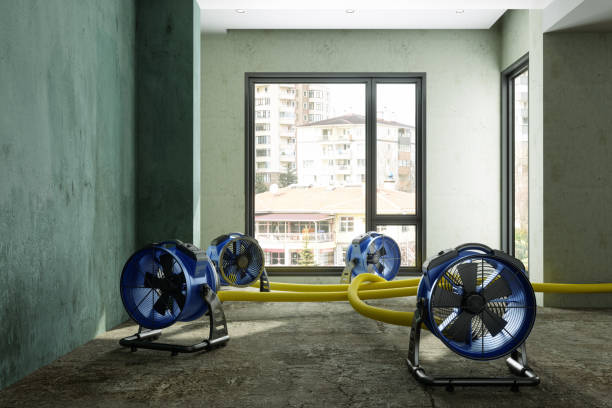 Best Professional water damage repair  in Fairburn, GA